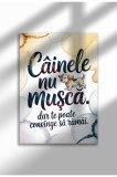 Poster Canvas Unframed Dog Quote in Romana - Print Digital - Cainele Nu Musca | A4 (21 x 29.7 cm)