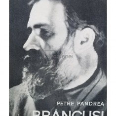 Petre Pandrea - Brancusi. Amintiri si exegeze (editia 1967)