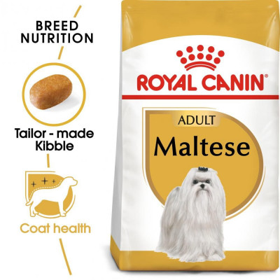 ROYAL CANIN Maltese Adult hrană pentru c&amp;acirc;ini adulţi rasă malteză 1,5 kg foto