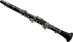 Clarinet Karl Glaser Eb(Mi bemol) 12clape+6inele mini Bohm sistem ebonita pentru copii