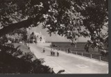CPI B13522 CARTE POSTALA - CONSTANTA, PE FALEZA, 1965