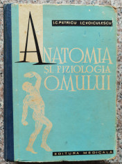 Anatomia Si Fiziologia Omului - I. C. Petricu I. C. Voiculescu ,553654 foto