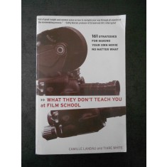 CAMILLE LANDAU - WHAT THEY DON`T TEACH YOU AT FILM SCHOOL {limba engleza}