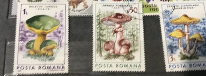 (1) Timbre Serii Romania Ciuperci