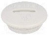 Presetupa poliamida, PG13,5, IP54, V-N-FS, HUMMEL - 1.251.1300.11