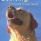 Barking: The Sound of a Language