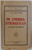 IN UMBRA STEAGULUI , INSEMNARI DIN RASBOIU de GH. COSTACHESCU, 1921