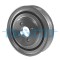 DAYCO DPV1008 Fulie curea, arbore cotit