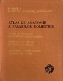 Atlas anatomie pasarilor domestice V. Ghetie Carte Medicina veterinara anticariat