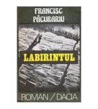 Francisc Pacurariu - Labirintul - 101831
