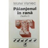 Paianjenul in rana (volumul 1) - 1996 - Matei Vișniec (Y184)