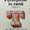 Paianjenul in rana (volumul 1) - 1996 - Matei Visniec (Y184)