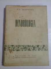 DENDROLOGIA - F. L. SCEPOTIEV foto