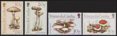TRISTAN DA CUHNA - 1984 - CIUPERCI foto
