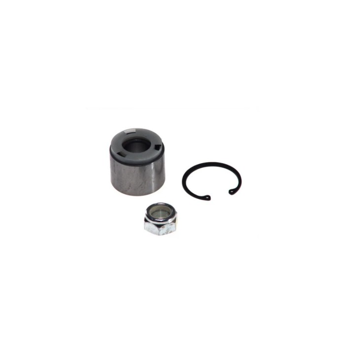 Set rulment roata RENAULT MEGANE I Cabriolet EA0 1 BTA H2R009BTA