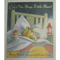 CAN &#039;T YOU SLEEP , LITTLE BEAR ? by MARTIN WADDELLL , illustrated by BARBARA FIRTH , 2005