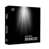 Brancusi - Pavel Susara