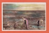 AMS @ - ORANOTYPIE FEMEI LA MARE 1, superba