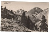 CPIB 21695 - CARTE POSTALA - MUNTII BUCEGI. SPRE VARFUL CU DOR, RPR, Circulata, Fotografie