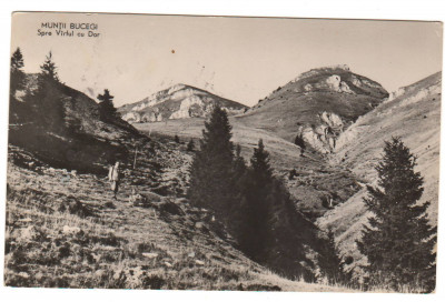 CPIB 21695 - CARTE POSTALA - MUNTII BUCEGI. SPRE VARFUL CU DOR, RPR foto