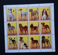 AZERBAYDJAN -RASE DE CIINI-1998-1M/SH.**MNH. AZ 02