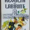 Revolta in labirint- Dan Merisca