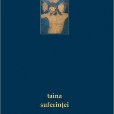 Taina suferinţei - Paperback brosat - Arhim. Simeon Kraiopoulos - Bizantină