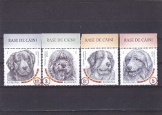 RASE DE CAINI,SERIE COMPLETA CU MARGINE DE COALA,2019,Lp.2230,MNH.ROMANIA.