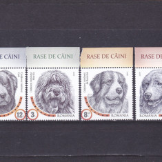 RASE DE CAINI,SERIE COMPLETA CU MARGINE DE COALA,2019,Lp.2230,MNH.ROMANIA.