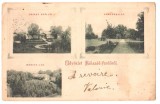 SV * Baile Bicsard * BISERICA ORTODOXA * PARCUL * VILA MORICZ * 1901 * Mai RARA!, Circulata, Necirculata, Fotografie, Printata, Covasna