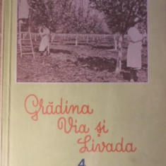 GRADINA, VIA SI LIVADA, REVISTA DE STIINTE SI PRACTICA HORTIVITICOLA, APRILIE 1954-COLECTIV