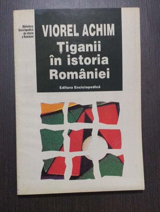 TIGANII IN ISTORIA ROMANIEI - VIOREL ACHIM