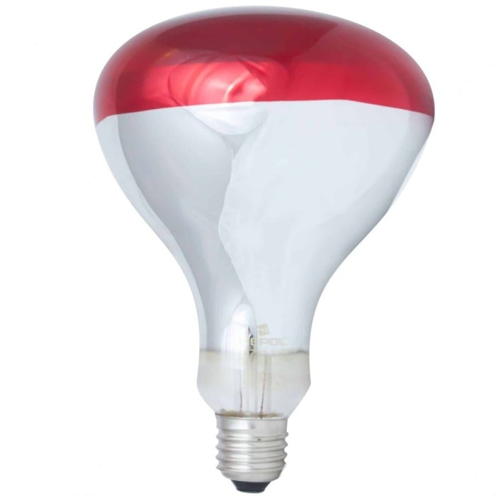 Bec Infrarosu 100W