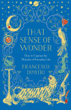 That Sense of Wonder | Francesco Dimitri, 2020