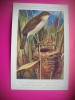 HOPCT 6269 ACROCEPHALUS SCIRPACEUS SCIRPACEUS -PASARI-FAUNA EUROPA-CP CHROMO LITHO -MUZEUL REGAL STIINTE NATURALE BELGIA-NECIRCULATA, Printata