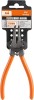 Cleste Indoit-Arbore / 175Mm