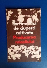 Sortimentul de ciuperci cultivate - N. Mateescu foto