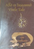 AFLA CE INSEAMNA VISELE TALE