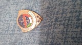 INSIGNA -SCOALA ITALIANA DE SCHII-AMSI