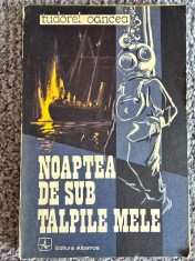 Noaptea De Sub Talpile Mele - Tudorel Oancea, 1985, 149 pagini, stare buna foto