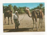 FA64-Carte Postala- ALGERIA - Vue du Sud, necirculata