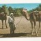 FA64-Carte Postala- ALGERIA - Vue du Sud, necirculata