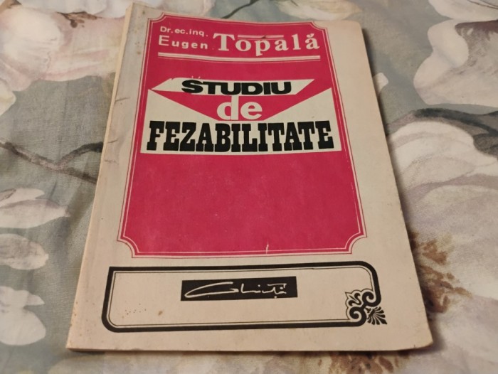 Studiu de fezabilitate