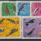 BURUNDI 1970 FAUNA PASARI