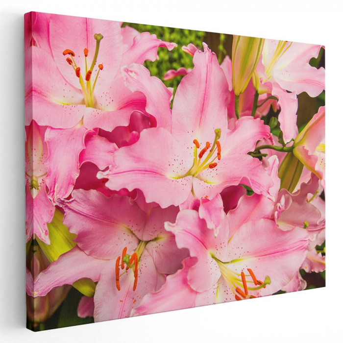 Tablou flori crini roz Tablou canvas pe panza CU RAMA 70x100 cm
