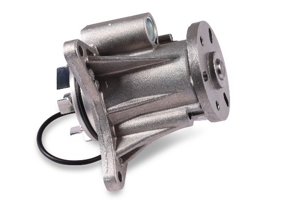 HEPU P2609 Pompă de apă, răcire motor