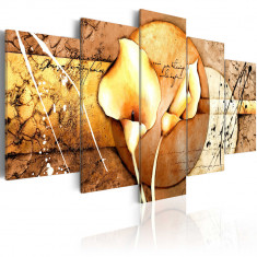 Tablou canvas 5 piese - Secretul lui Calla Lily Gold - 200x100 cm foto