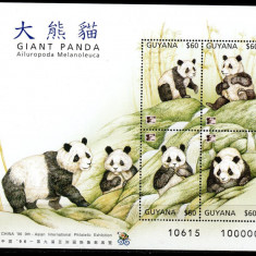 GUYANA 1996, Fauna, Panda, serie neuzata, MNH