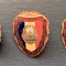 (2) LOT 3 INSIGNE &quot;MILITAR DE FRUNTE&quot;, RSR, DIMENSIUNI DIFERITE