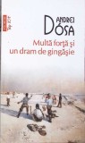 MULTA FORTA SI UN DRAM DE GINGASIE-ANDREI DOSA-361332